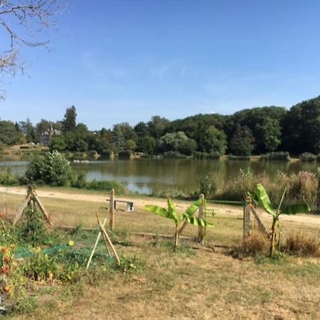 Maison Face A L'Etang Précy Exteriér fotografie